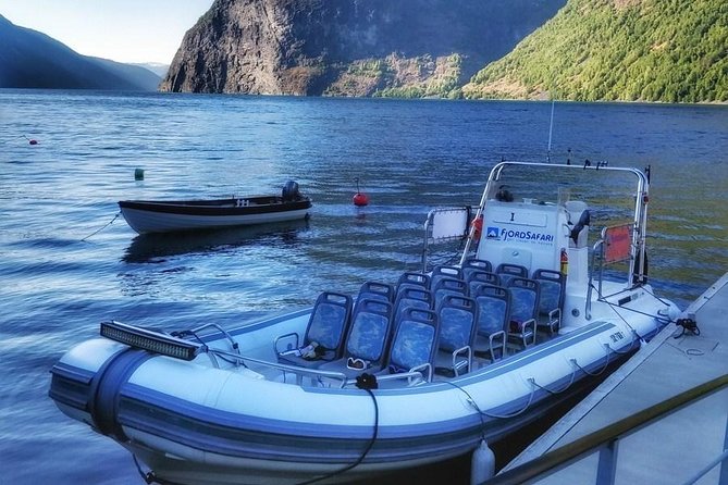 Private Guided Day Tour - RIB Sognefjord Safari and Flåm Railway - Transportation Details