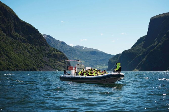 Private Guided Day Tour - RIB Sognefjord Safari and Flåm Railway - Wildlife and Scenic Highlights
