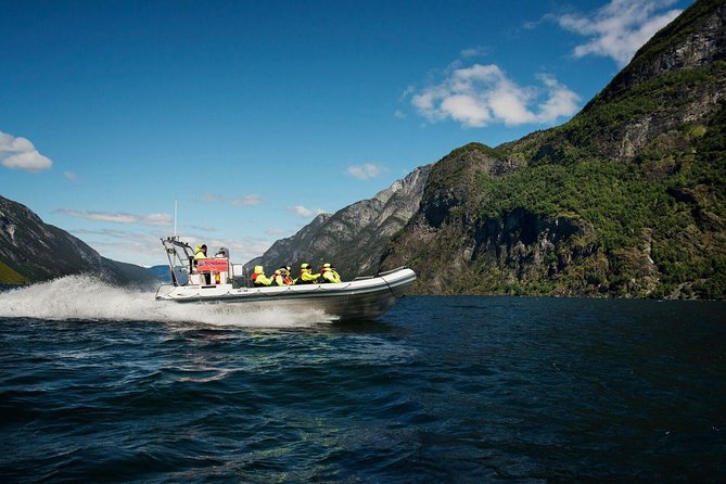 Private Guided Day Tour - RIB Sognefjord Safari and Flåm Railway - Exploring Sognefjords Majestic Scenery