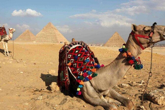 Private Guided Day Tour to Cairo From Hurghada by Private Coach - Customer Feedback