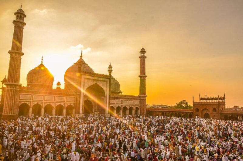 Private Guided Day Trip of Old & New Delhi by Car - Inclusions and Accessibility