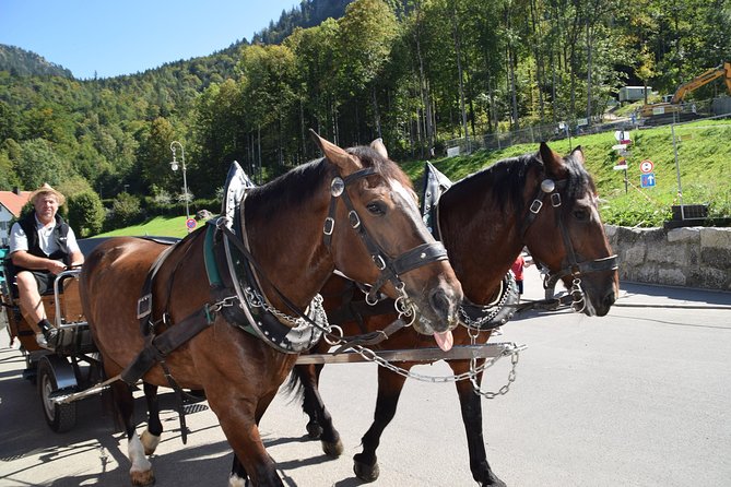 Private Guided Day Trip to Castle Neuschwanstein Incl. Carriage Horse Ride - Customer Support