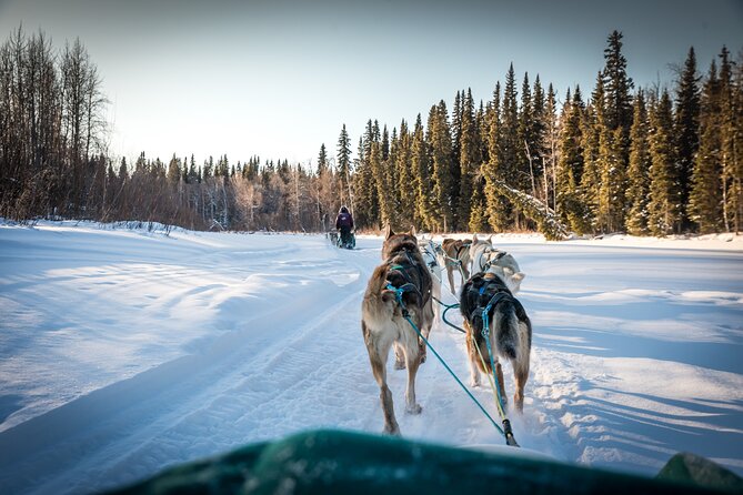 Private Guided Dog Sledding on the Historic Yukon Quest Trail - Included in the Tour