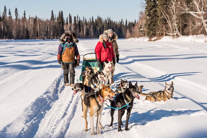 Private Guided Dog Sledding on the Historic Yukon Quest Trail - Tour Details
