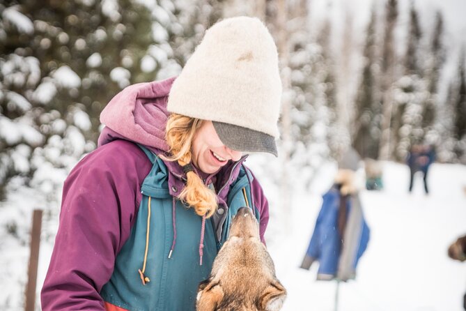 Private Guided Dog Sledding on the Historic Yukon Quest Trail - Important Information