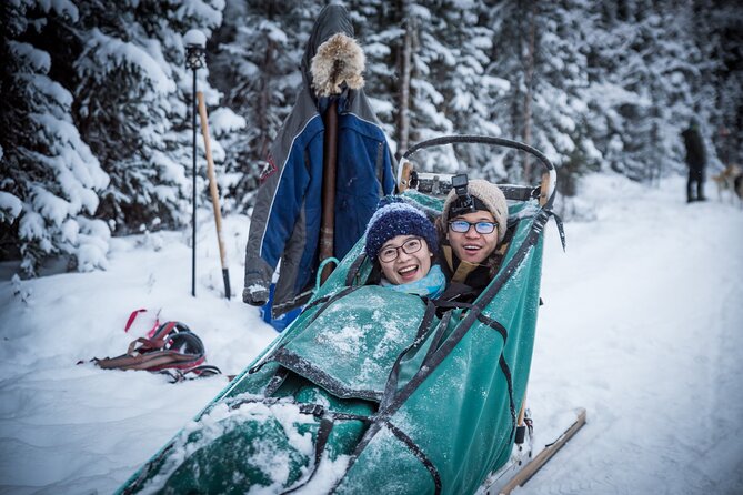 Private Guided Dog Sledding on the Historic Yukon Quest Trail - Preparing for the Ride