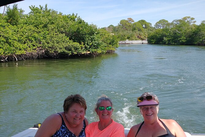 Private Guided Dolphin Sightseeing Cruise in St. Petersburg - Overview and Experience