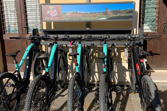Private Guided E-bike Tour in Bertinoro - Scenic Cycling Routes