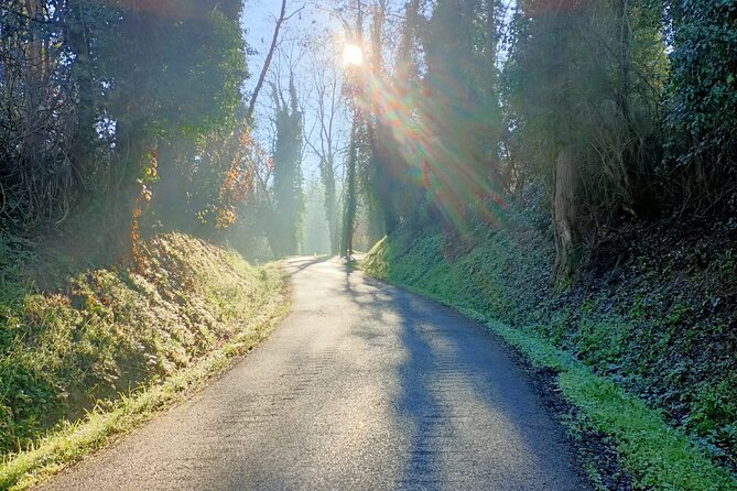 Private Guided E-bike Tour in Bertinoro - Accessibility and Restrictions