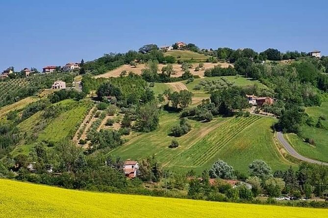 Private Guided E-bike Tour in Bertinoro - Customer Testimonials and Ratings