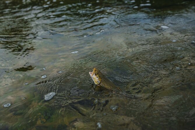 Private Guided East Zion Fly Fishing - Why Choose This Tour