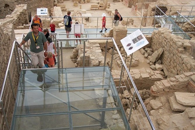 Private Guided Ephesus, Terraced House & Temple of Artemis - Knowledgeable and Professional Guidance