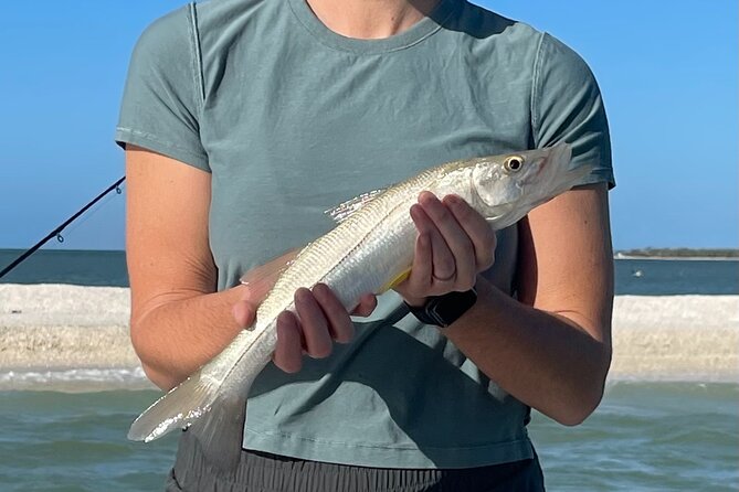 Private Guided Fishing in Marco Island - Detailed Inclusions