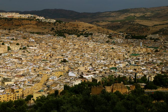 Private Guided Full-Day Tour of Fez - Reviews and Feedback