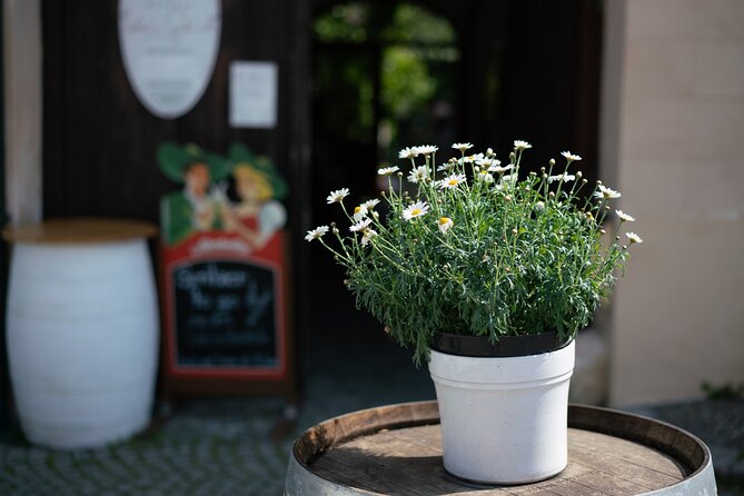 Private Guided Full Day Tour to Charming Burgenland Region With Wine Tasting - Personalized Tour Experiences