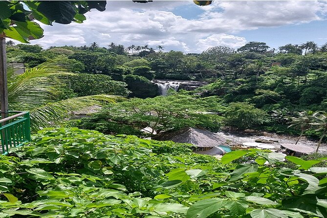 Private Guided Full Day Ubud Tour - Pickup and Drop-off