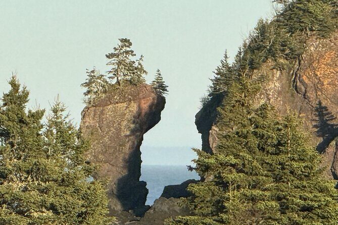 Private Guided Fundy Tour in Saint John - Key Points