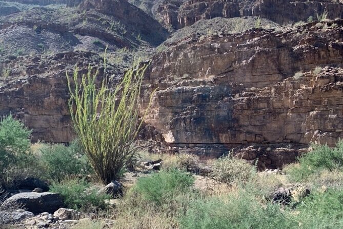 Private Guided Grand Canyon Tour in Arizona - Inclusions