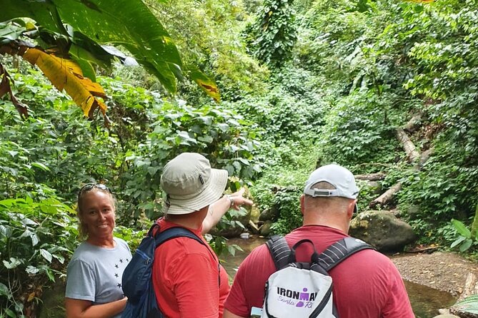 Private Guided Grenada Island Tour BY THE HOUR - Traveler Reviews and Guides
