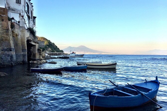 Private Guided Half Day Panoramic Tour in Naples - Culinary Delights