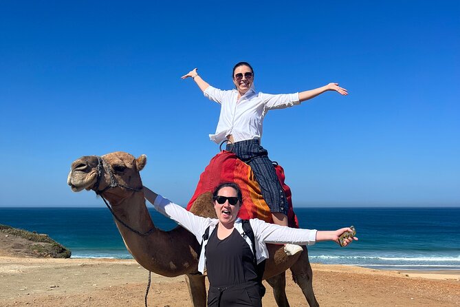 Private Guided Half-Day Tour in Tangier - Meeting and Pickup