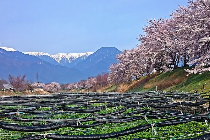 Private Guided Half Day Tour Visit in Nagano - Booking Information