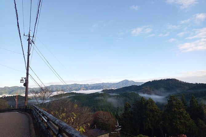 Private Guided Half-Day Walking Tour in Yoshinoyama - Key Points