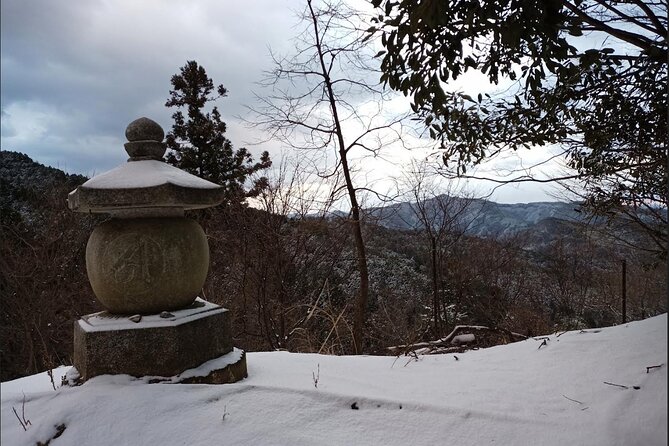 Private Guided Half-Day Walking Tour in Yoshinoyama - Included Costs and Extras