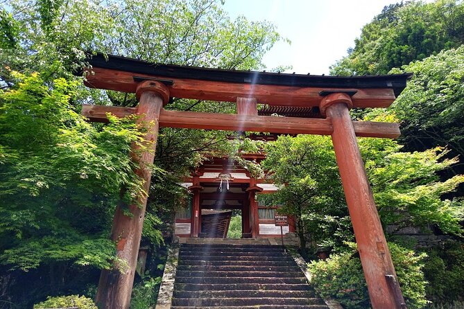 Private Guided Half-Day Walking Tour in Yoshinoyama - Cancellation Policy