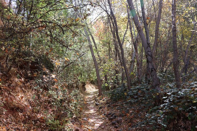 Private Guided Hike in Sedona With Access to Oak Creek - Exploring Sedonas History