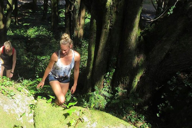 Private Guided Hike in Sintra-Cascais: Explore Nature! - Included in the Hike