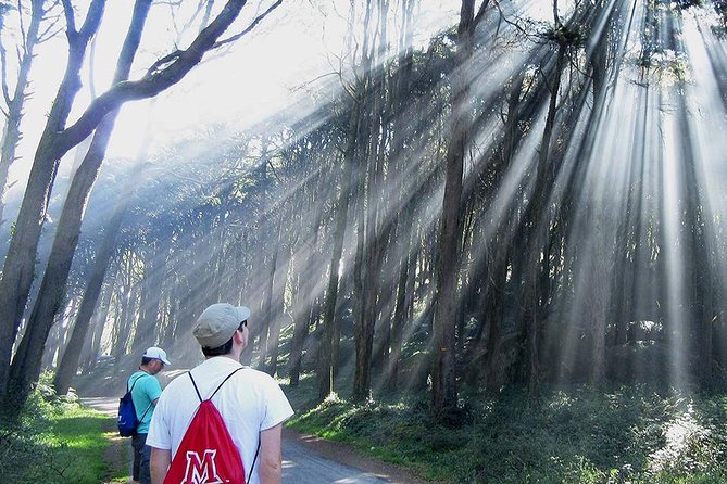 Private Guided Hike in Sintra-Cascais: Explore Nature! - Transportation Options