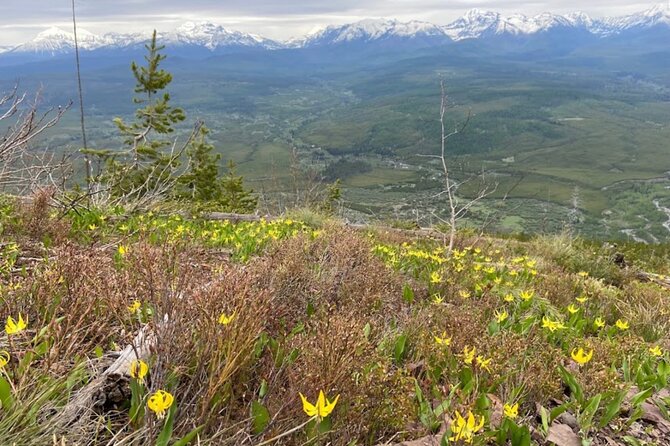Private Guided Hiking Tour - Scenery and Trails