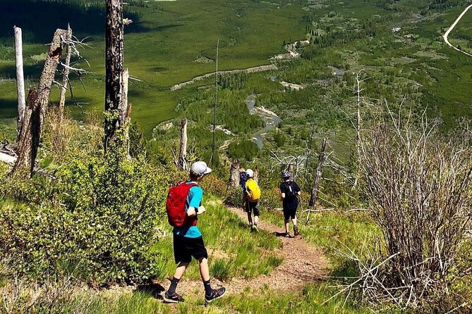 Private Guided Hiking Tour - Booking and Availability