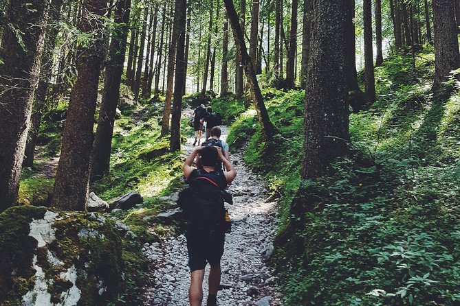 Private Guided Hiking Tour - Sequoia National Park - Personalized Experience and Adaptability
