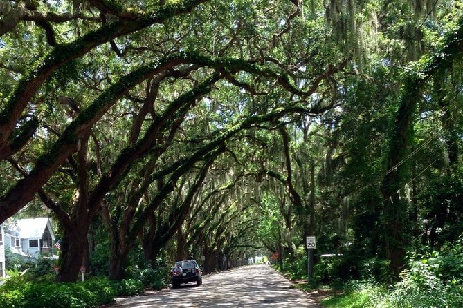 Private Guided Historic Electric Cart Tour of St. Augustine - Exploring St. Augustines History