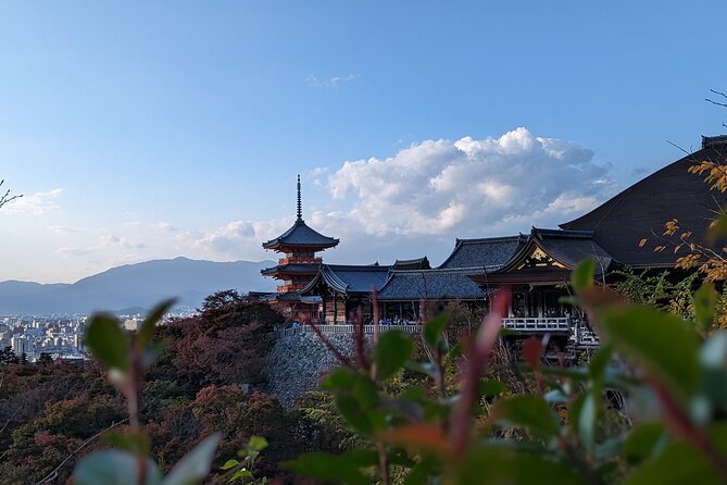 Private Guided Historical Sightseeing Tour in Kyoto - Tour Inclusions and Exclusions