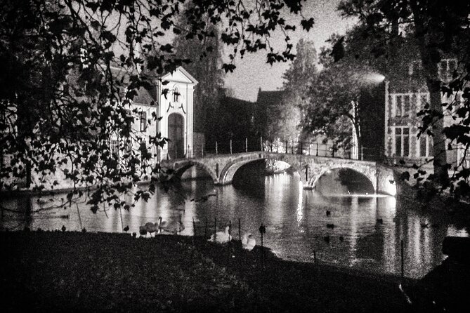Private Guided Historical Walking Tour in Bruges Belgium - Meeting and Pickup Information