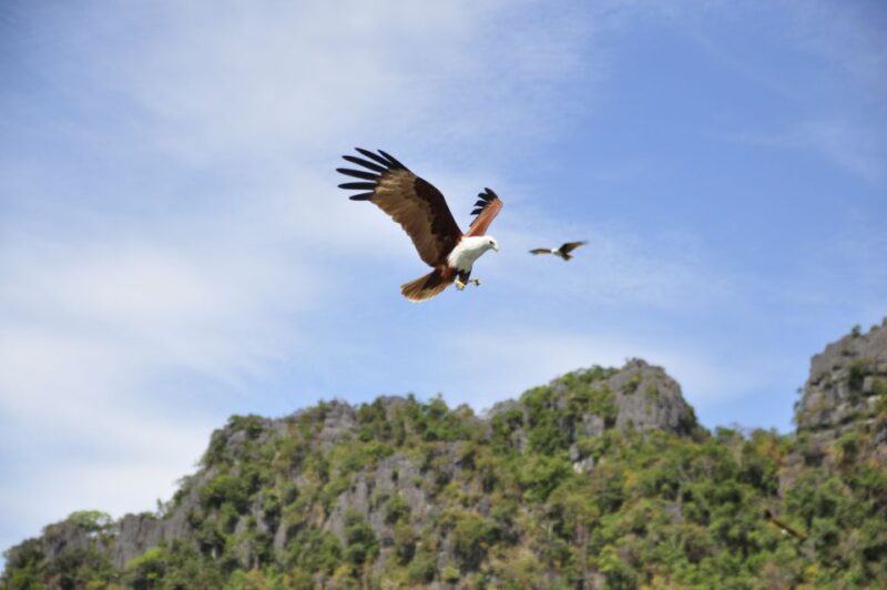 Private Guided Island Tour of Langkawi - Customer Feedback