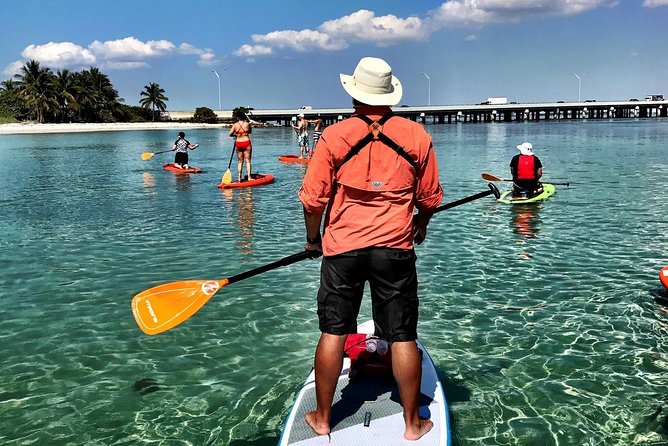 Private Guided Kayak or SUP Eco Adventure - Included Activities