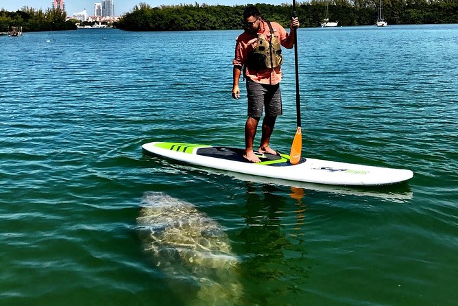 Private Guided Kayak or SUP Eco Adventure - Private and Customized Tour