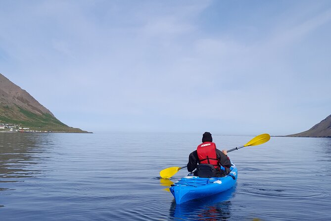 Private: Guided Kayak Tour in Siglufjörður / Siglufjordur. - Quick Points
