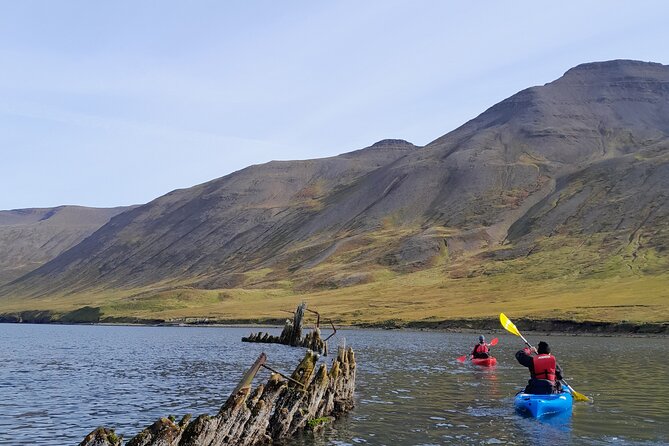 Private: Guided Kayak Tour in Siglufjörður / Siglufjordur. - Meeting Point and Pickup