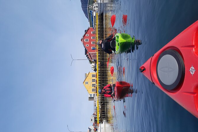 Private: Guided Kayak Tour in Siglufjörður / Siglufjordur. - Positive Traveler Feedback