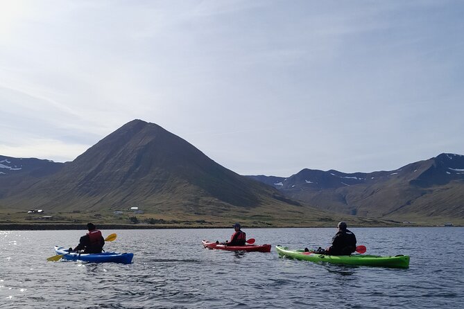 Private: Guided Kayak Tour in Siglufjörður / Siglufjordur. - Exploring the Siglufjörður Coastline