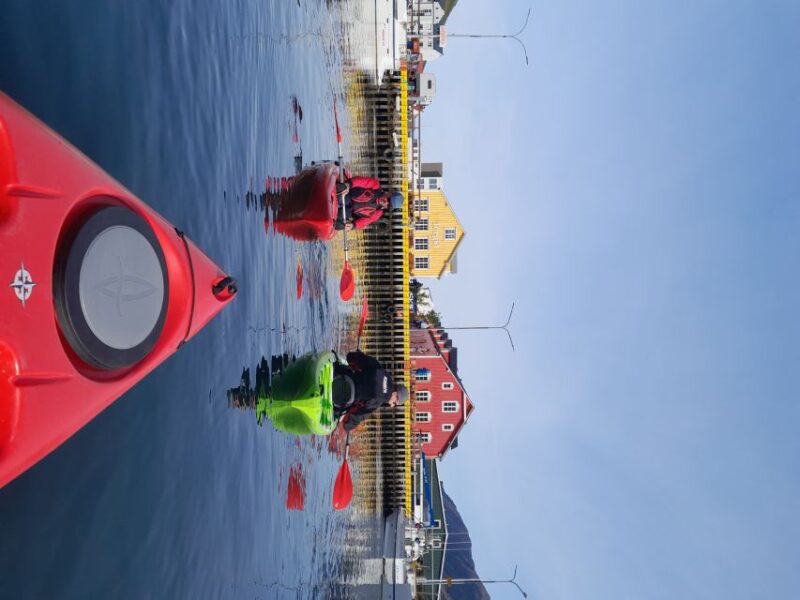 Private: Guided Kayak Tour in Siglufjordur. - Tour Pricing