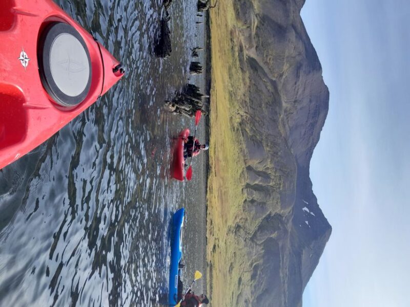 Private: Guided Kayak Tour in Siglufjordur. - Tour Experience