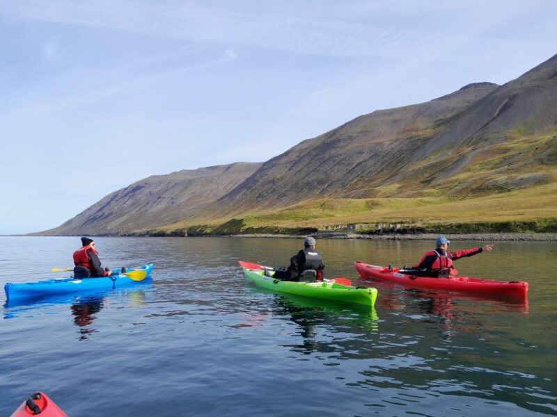 Private: Guided Kayak Tour in Siglufjordur. - Meeting Details
