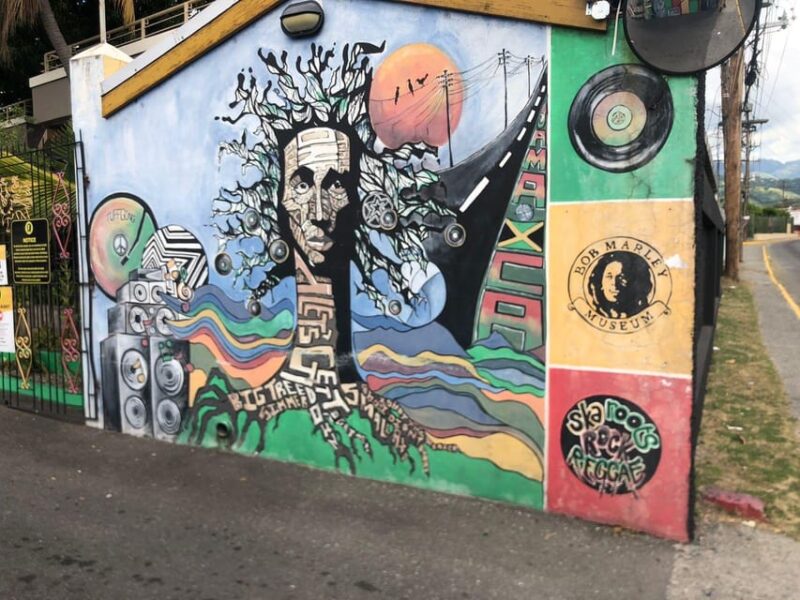 Private Guided Kingston Day Tour From Ocho Rios - Pickup and Itinerary