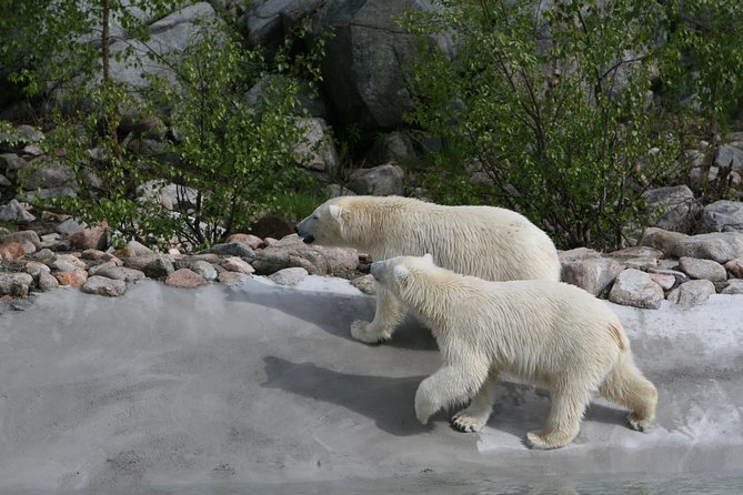Private Guided Lapland Ranua Zoo Tour From Rovaniemi - Participant Information